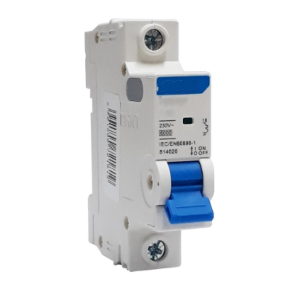 BREAKER RIEL 6A 10KA