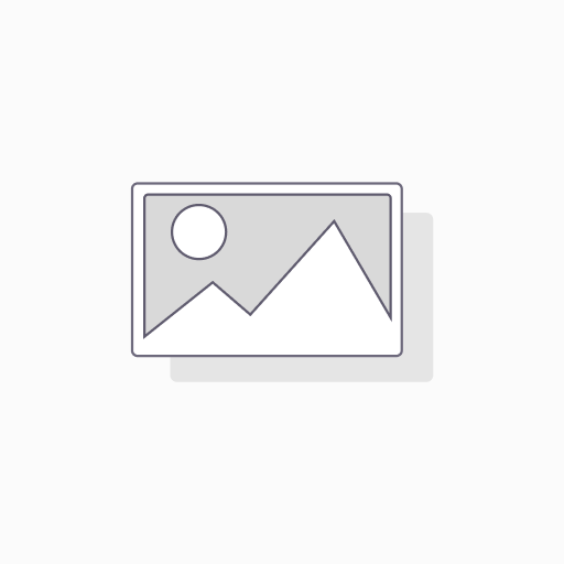 PONCHADORA RJ45
